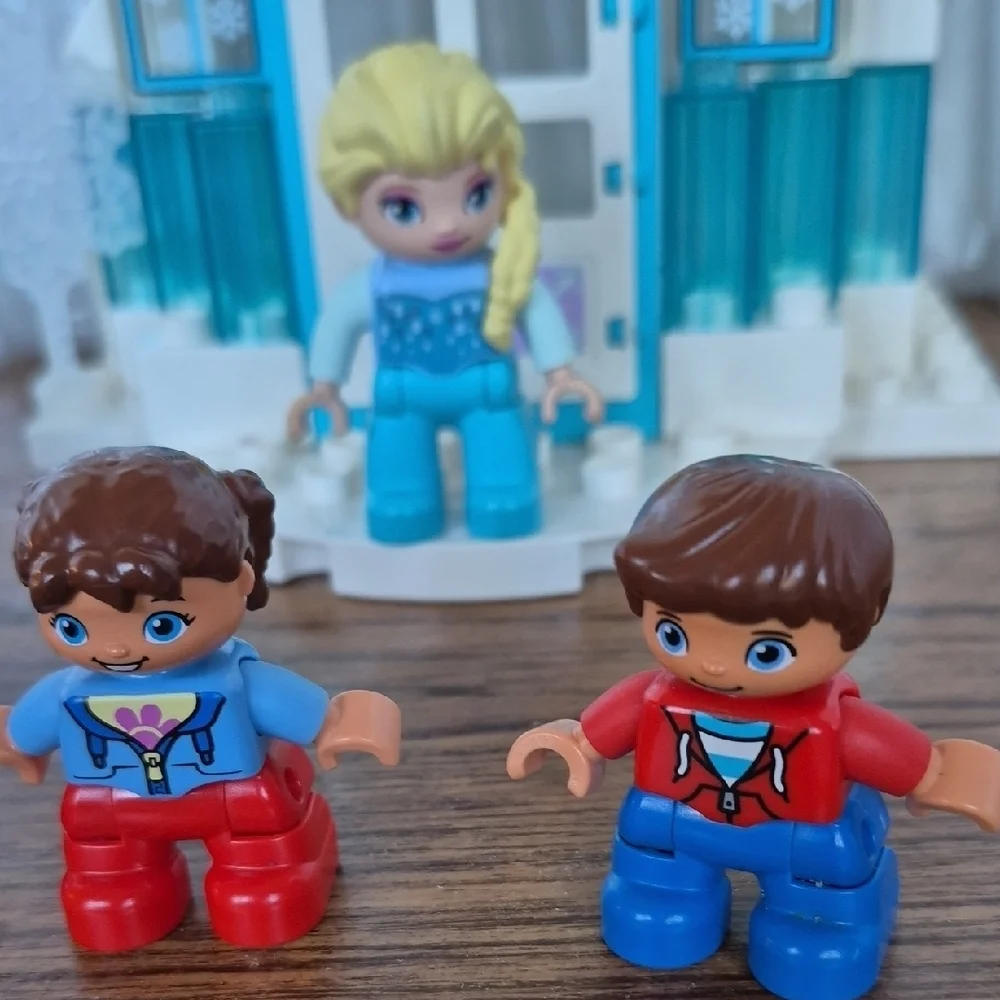 Dusney Frozen Castle Building Set with Light Brick Plus Doggie And Kids Playing.